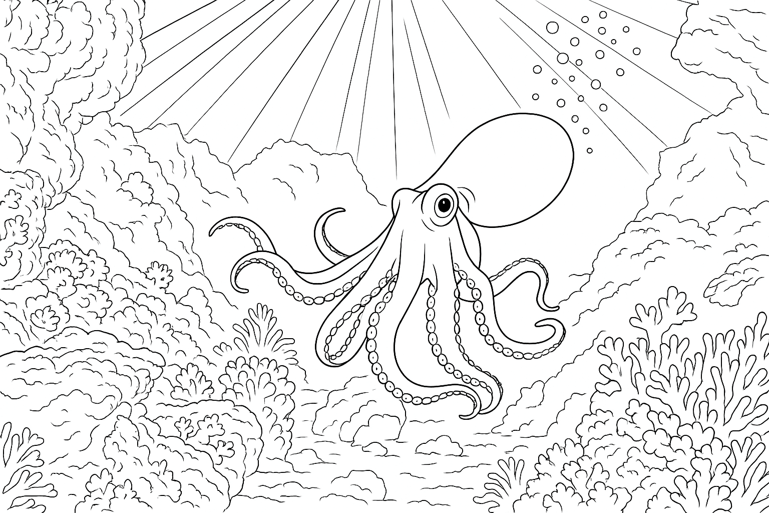 Octopus
