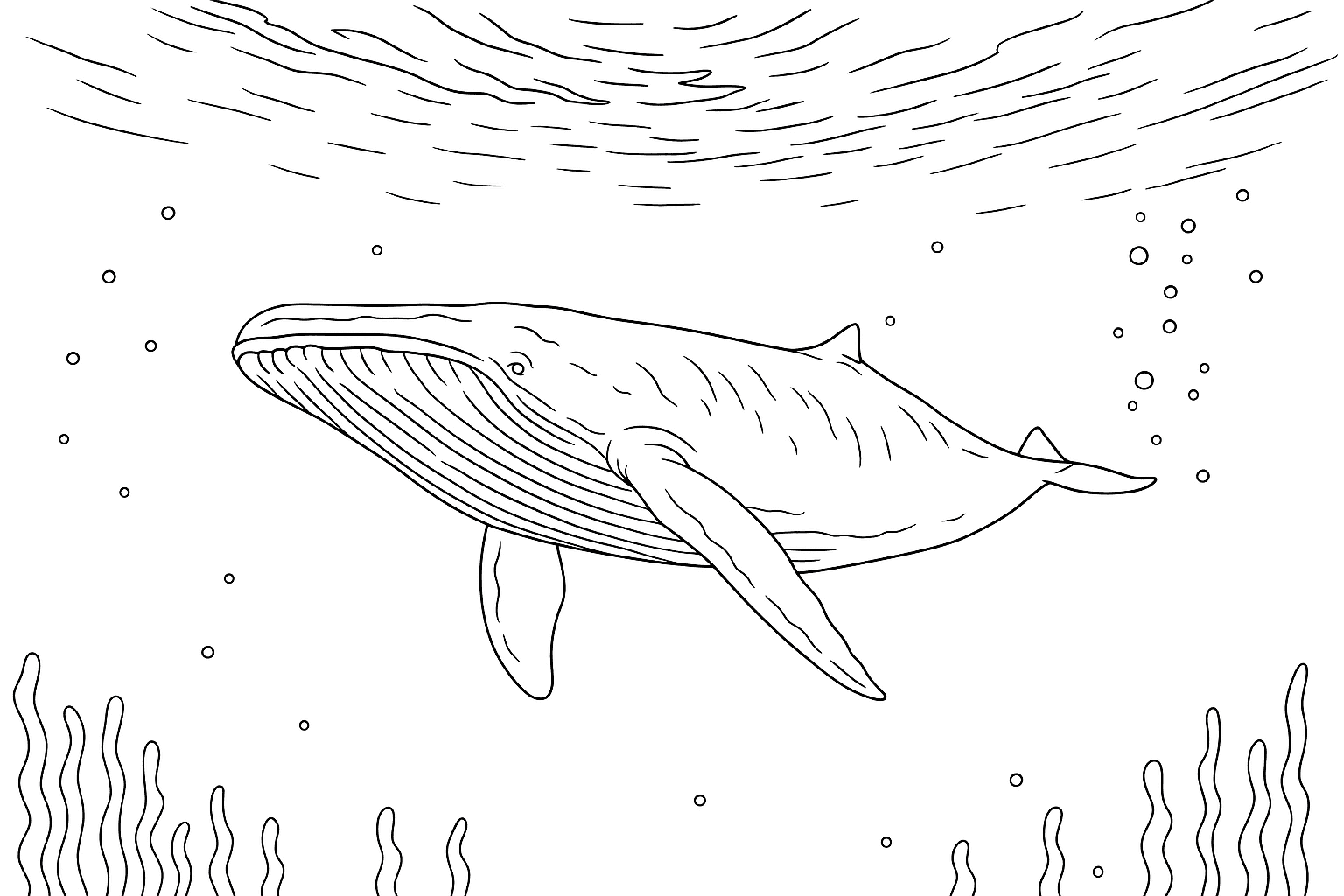 Whale