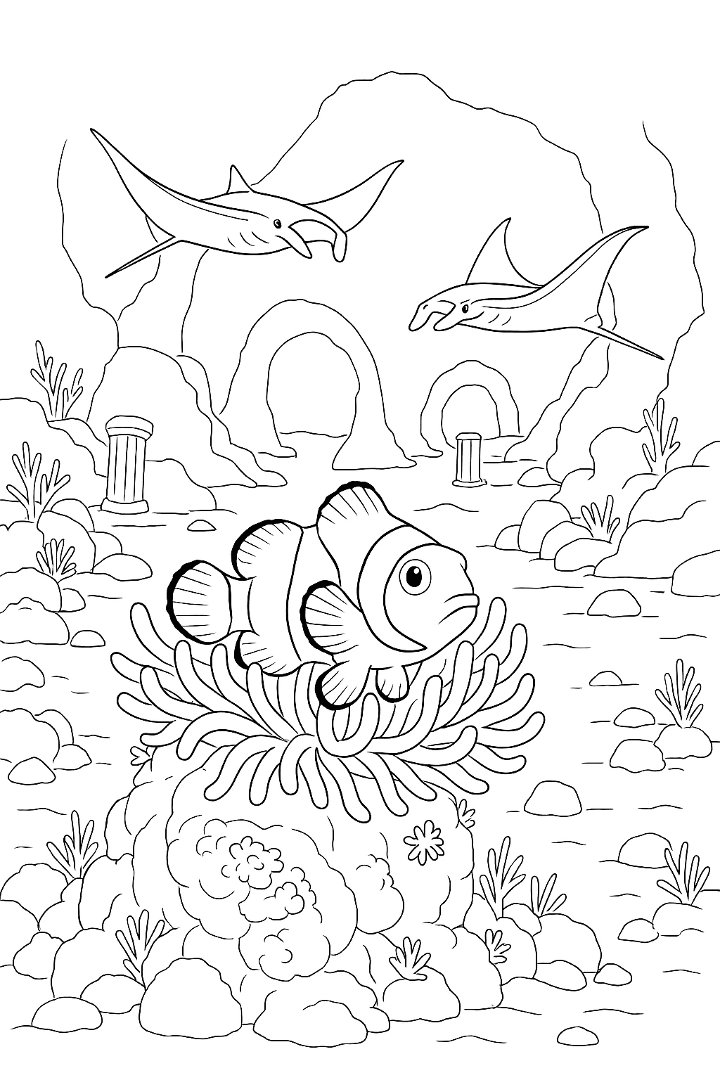 Clownfish Mantaray Habitats